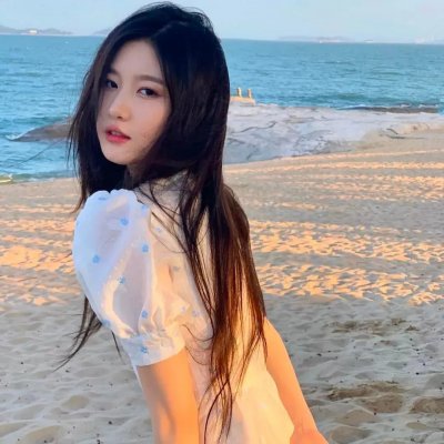 禁宫龙虎斗